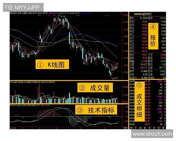 北京网球队战术分析与提升策略探讨全景解析