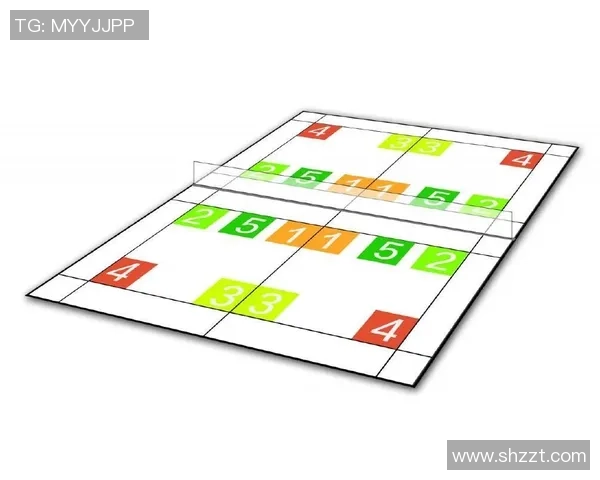 杭州羽毛球队在冠军赛中的速度优势与战术分析
